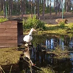 Vakantieboerderij Pod Pstragiem *
