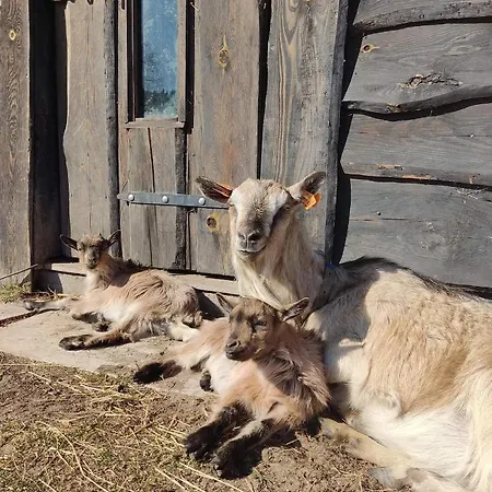 Farm stay Pod Pstragiem Lipnica (Bytow)