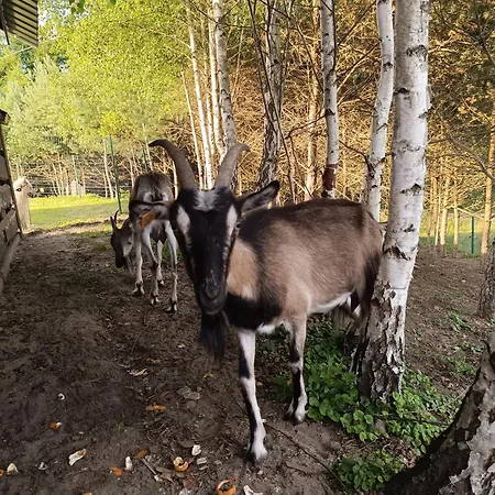 Farmház Pod Pstragiem