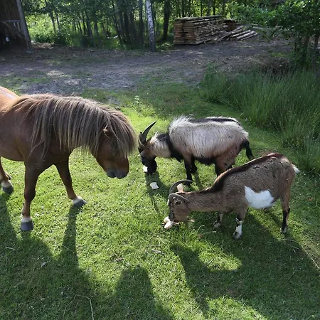 Pod Pstragiem Farmház