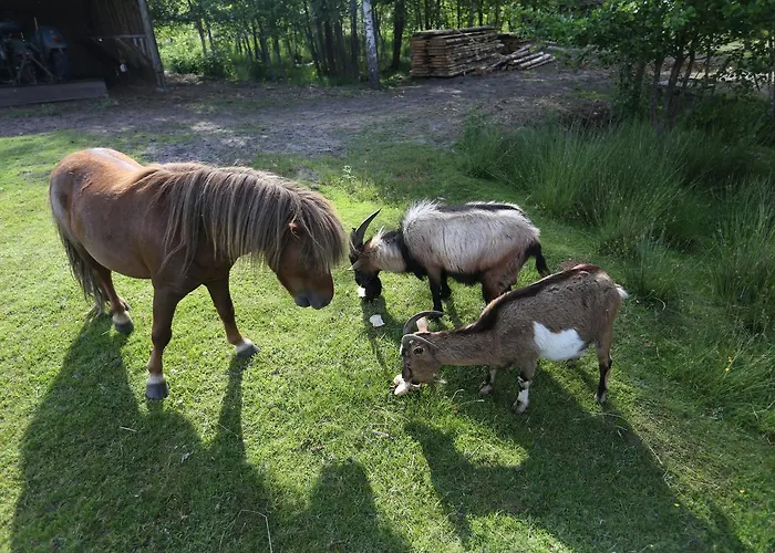 Pod Pstragiem Farm stay